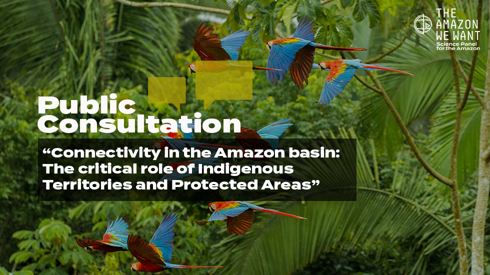 Public Consultation: “Connectivity in the Amazon basin” White Paper